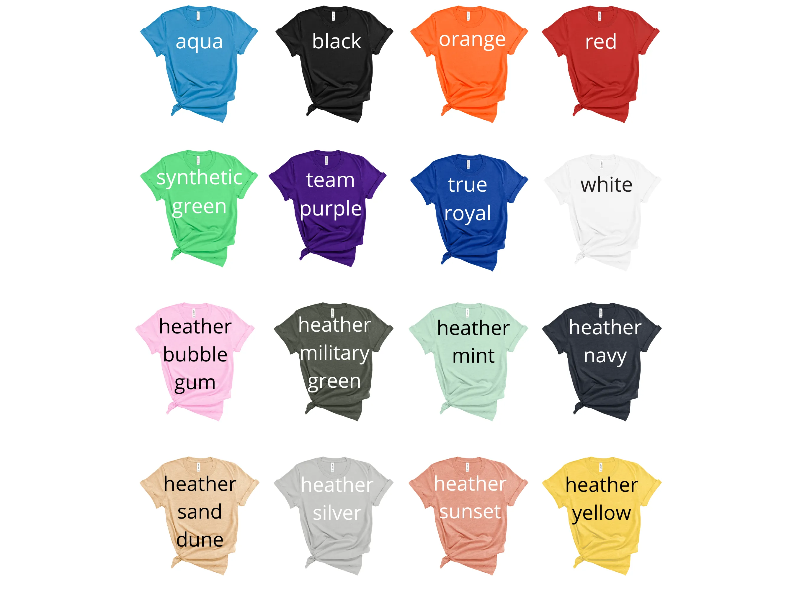 Teacher Saurus shirt